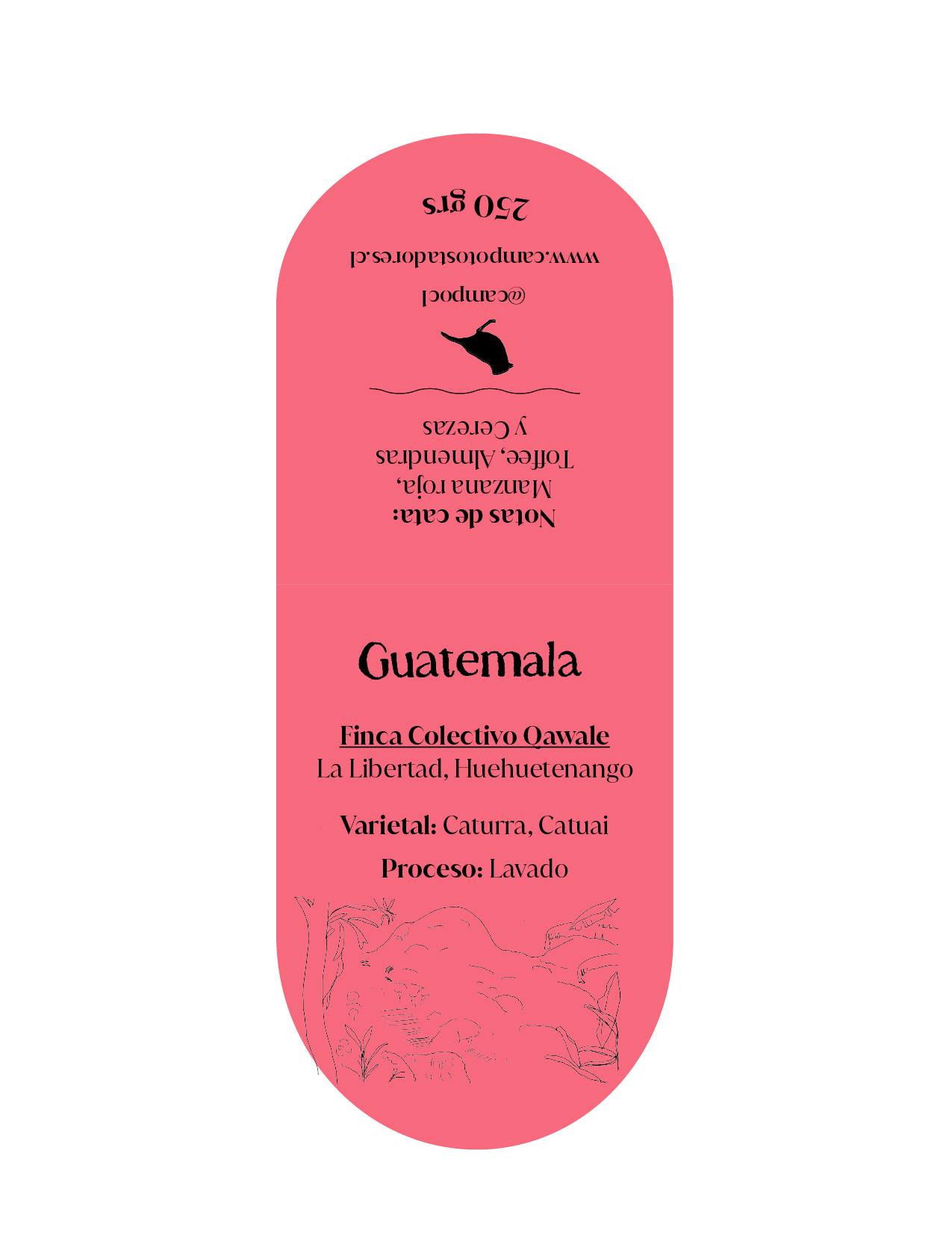 Guatemala Qawale