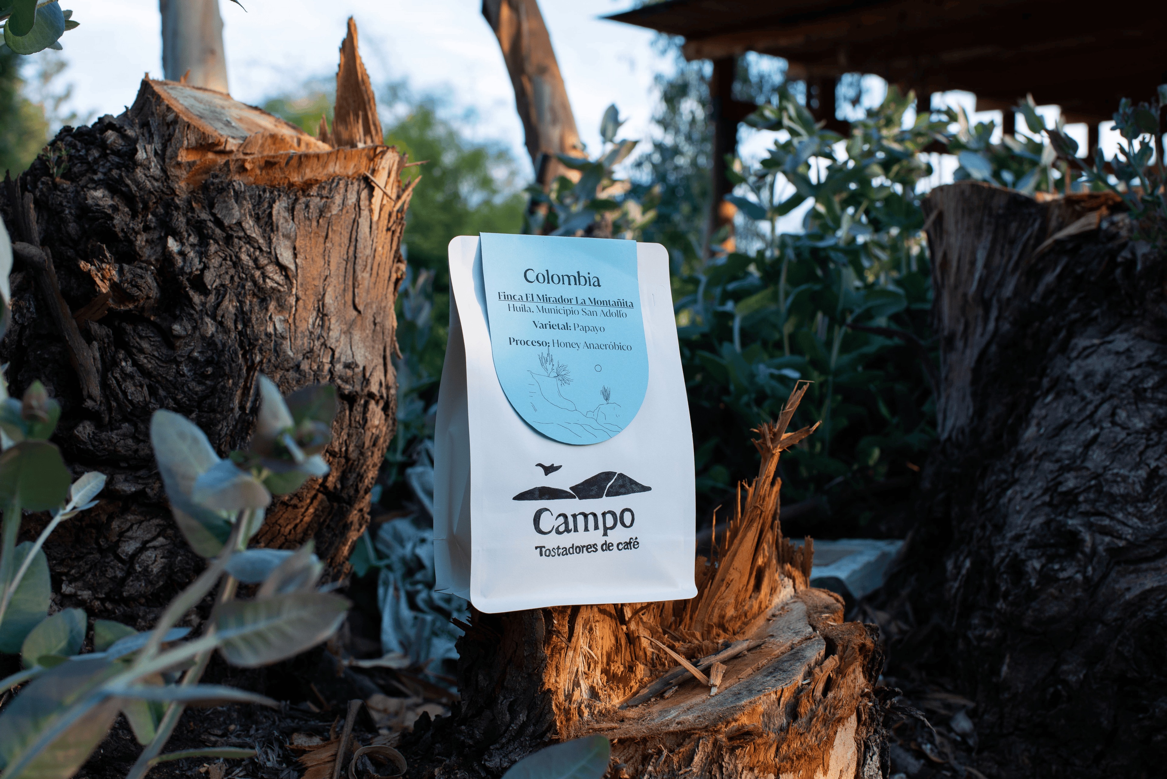 Colombia El Mirador La Montañita