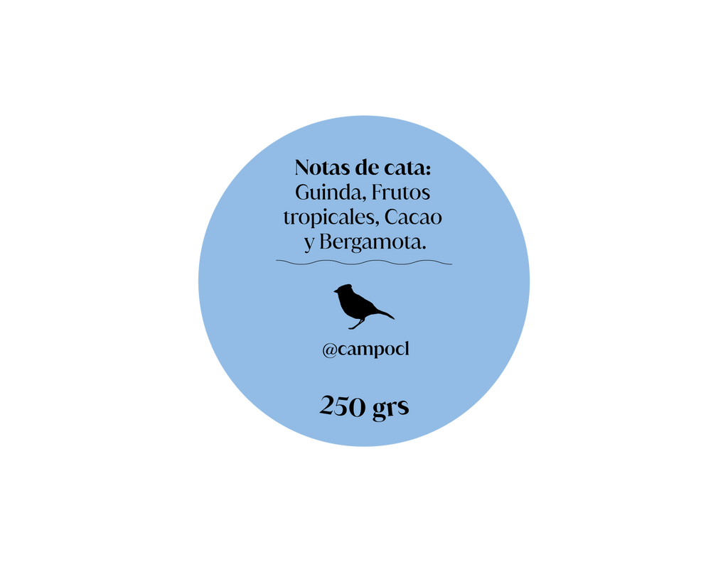 Colombia El Mirador La Montañita